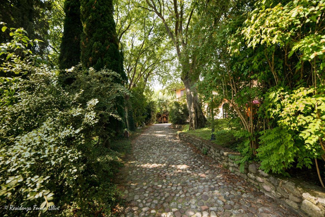 Residenza Fondo Ulivi Villa Ponti sul Mincio Kültér fotó